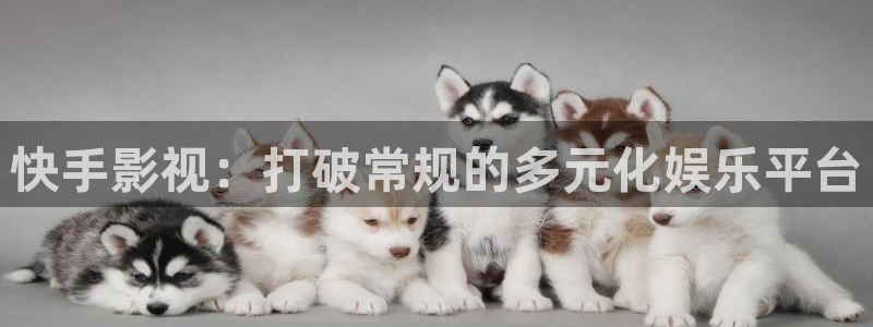下载金桔影视