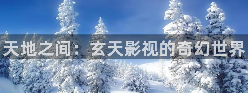 金桔视频