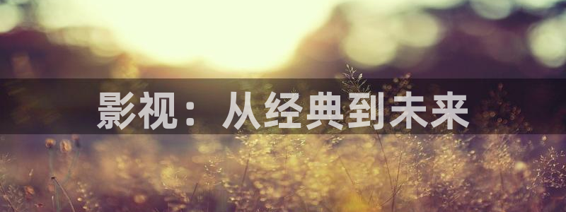 金桔视频免费下载
